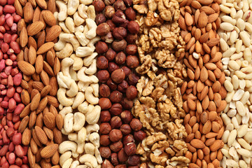 Poster - mixed nuts laid out in stripes