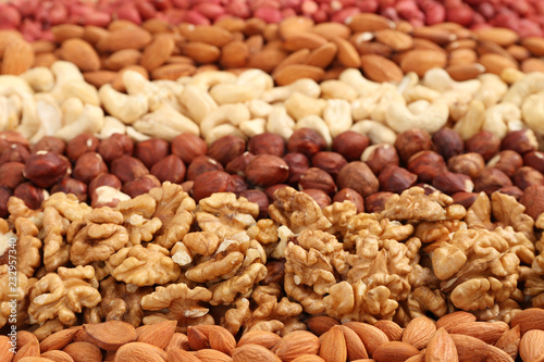 Cuadros en Lienzo mixed nuts laid out in stripes