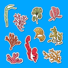 Sticker - Vector hand drawn seaweed elements sticker set illustration. Underwater seaweed sea sticker, cartoon ocean coral