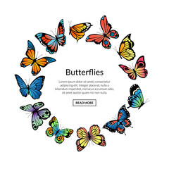 Sticker - Vector decorative butterflies in circle shape with place for text illustration. Butterfly decoration on round, beauty insect