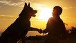 silhouette of a man shaking paw of dog in a field at sunset, boy with a pet walking on nature, concept of friendship of animals and people
