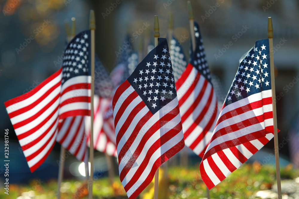 American Flags for celebrating the holiday  - obrazy, fototapety, plakaty 