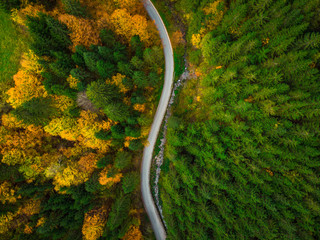 Wall Mural - Colorful forest and curvy road, aerial drone view from above