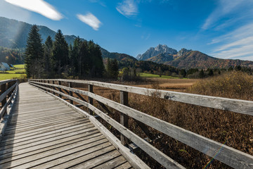 Canvas Print - Wooden footbridge at Zelenci Nature reserve,SLovenia