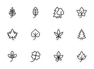 Poster - Leaves line icon set. Maple, oak, fir tree. Nature concept. Can be used for topics like forest, park, ecology