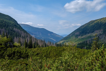 western carpathian Tatra mountain skyline with green fields and forests in foreground