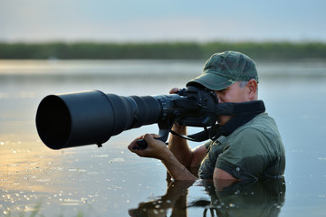 Wall Mural - wildlife photographer outdoor, standing in the water