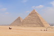 Tourists horseback riding in front of the Pyramids of Giza, Egypt