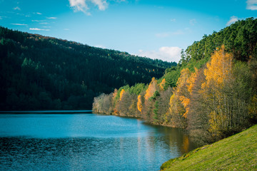 Herbst am Marbachsee