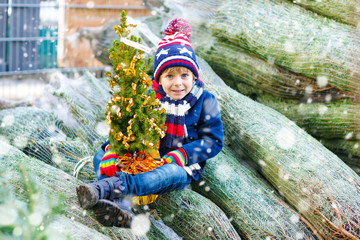 Wall Mural - Adorable little smiling kid boy holding Christmas tree on market. Happy healthy child in winter fashion clothes choosing and buying big Xmas tree in outdoor shop. Family, tradition, celebration.