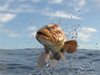 Great grouper fish with elegant and vivid colors jumping out of water 3d render