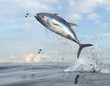 Flying fishes running away from yellow tail tuna fish 3d Render