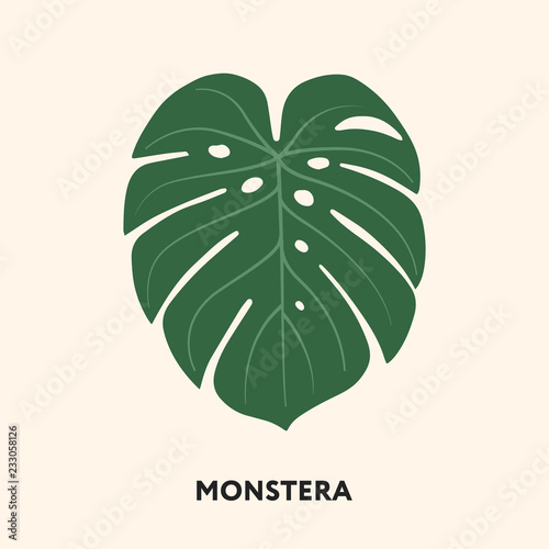 Cuadros en Lienzo Monstera Tropical Jungle Plant Green Big Palm Leaf