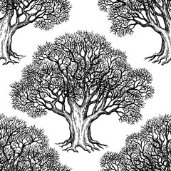 Wall Mural - seamless pattern with oak