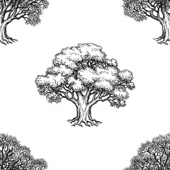 Wall Mural - seamless pattern with oak