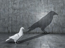 Concept Of Hidden Potential, Dualism And Change. Paper Figure Of A Dove That Throws A Crow Of Crows. 3D Illustration