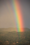 Fototapeta Tęcza - North Shore Rainbow