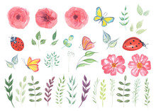 Big Collection Watercolor Elements - Wild Flowers, Herbs, Leaf, Butterfly, Ladybug.