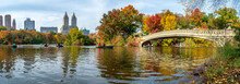 Panoramic View Of Autumn Landscape With Bow Bridge In Central Park. New York City. USA