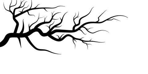 Poster - tree branches isolated