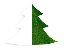 Green Sparkly Tree Free Stock Photo - Public Domain Pictures