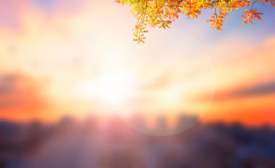 Wall Mural - world city day concept: big city at sunset