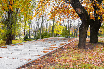 Stairs in a park covered with leaves in autumn day with sunlight