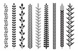 Leaf nature pattern vector illustrations.