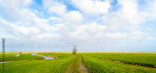 Fotomural Flat and vibrant green summer polder landscape in The Netherlands