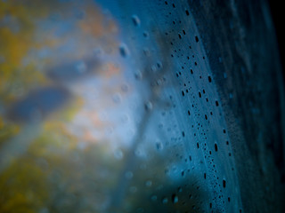 Canvas Print - Water droplets on the windshield Water drop The exterior sees the shadows of leaves change color in the fall. In Yamagata Japan,soft focus.