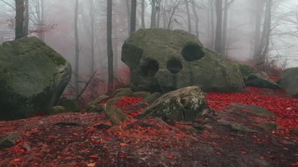 Poster - Creepy skull rock in spooky foggy forest with red leaves. Moody autumn morning int he woods