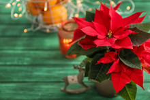 Christmas Flower Poinsettia On Color Wooden Table