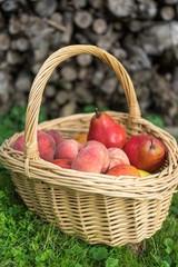 basket, fruit, apple, food, red, apples, fresh, healthy, ripe, isolated, autumn, white, organic, harvest, wicker, freshness, agriculture, juicy, sweet, nature, vegetarian, crop, green, diet, delicious