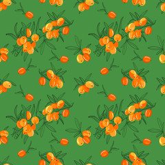 Wall Mural - Sea buckthorn branch seamless pattern. Hand drawn berry illustration color and sketch. Sketch style. Elements for menu, greeting cards, wrapping paper, cosmetics packaging, posters etc