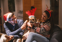 Couple Sitting In Living Room And Playing With Dog. Christmas Holidays Concept.