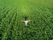© Zoran Zeremski - Top view of young farmer standing in soybean field with his arms outstretched.