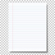 © PF-Images - Ruled sheet of notebook paper placed on transparent background. Vector paper template.