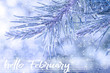 © mars58 - HELLO FEBRUARY greeting card. Winter holidays concept.