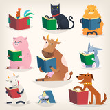 Fototapeta Pokój dzieciecy - Animals reading books with stories and translating other languages. Trying to understand others.