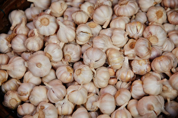 Sticker - Heap of garlic 