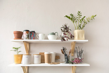 Pots with various houseplants and assorted dishware standing on shelf in cozy kitchen