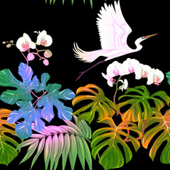 Plakat tropikalny ptak storczyk drzewa