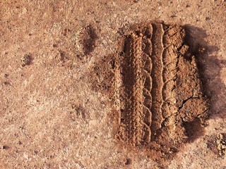 Canvas Print - tire track on mud for background