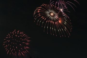 fireworks exploding during a fireworks festival, tokyo, japan
