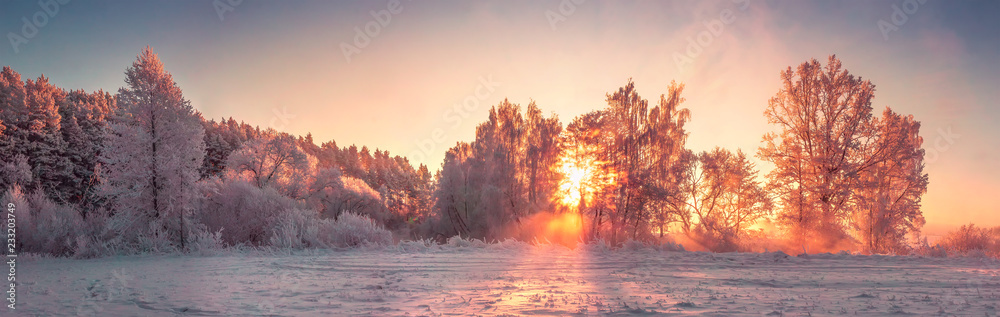 Panorama of winter nature landscape at sunrise. Christmas background - obrazy, fototapety, plakaty 