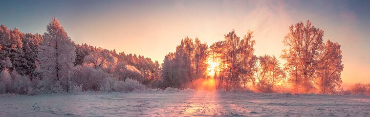 Wall Mural - Panorama of winter nature landscape at sunrise. Christmas background