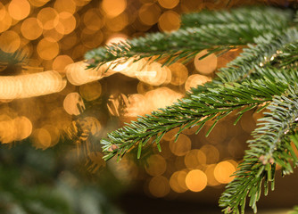 Close-up: green branch of Christmas tree is on blurry background of festive lights of a night city street. Concept: Merry Christmas and Happy New Year holidays.