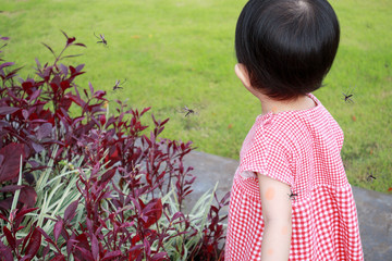 Wall Mural - cute asian baby girl has skin rash and allergy from mosquito bite and sucking blood while playing outdoor