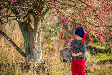 Portrait of a cute boy with red berries. Autumn colors of nature.