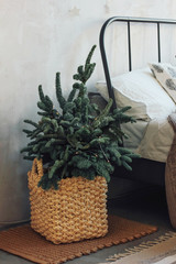 Wall Mural - Christmas tree in a wicker basket by the bed. Minimalistic Scandinavian decor